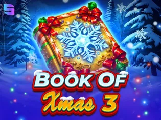 Book Of Xmas 3 game cover